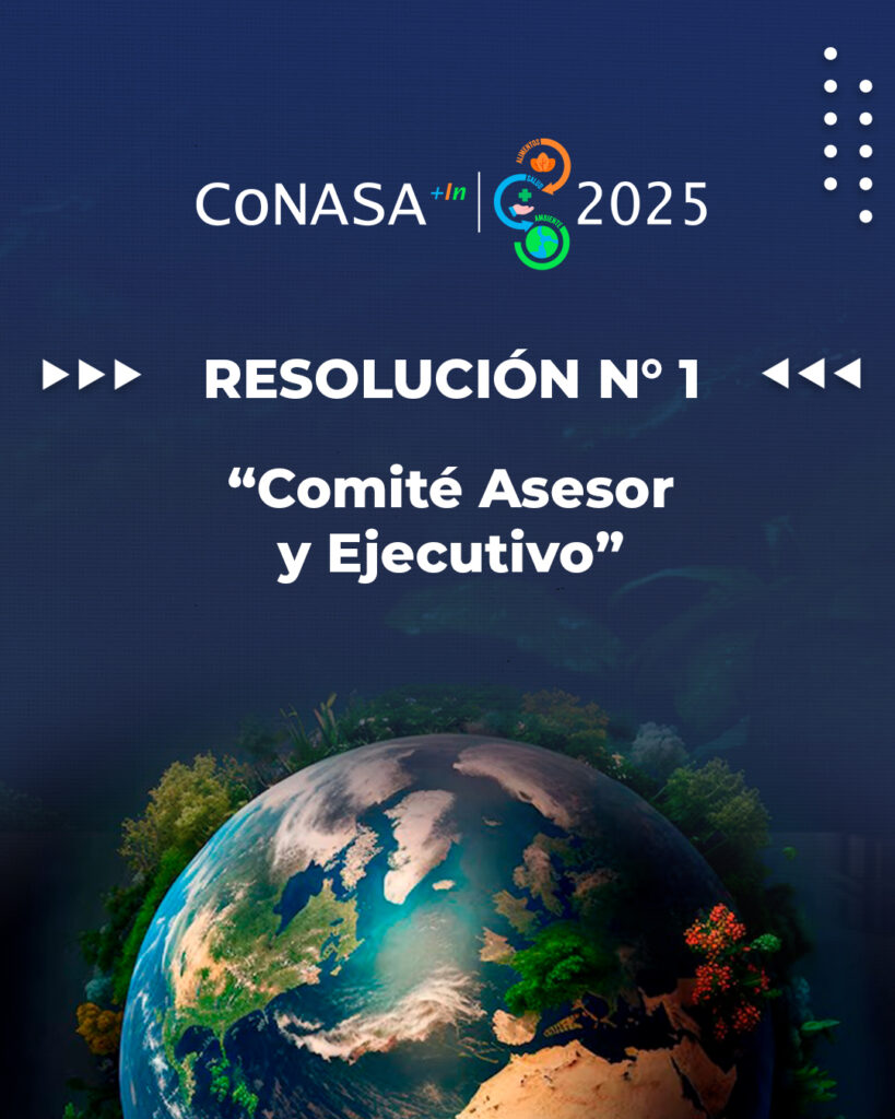 Res. N°1 CONJUNTA COMITÉ ASESOR Y EJECUTIVO CoNASA 2025