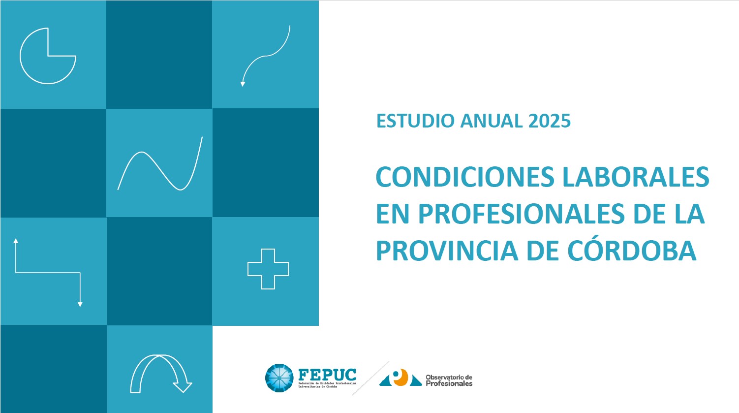 Estudio FEPUC 2025